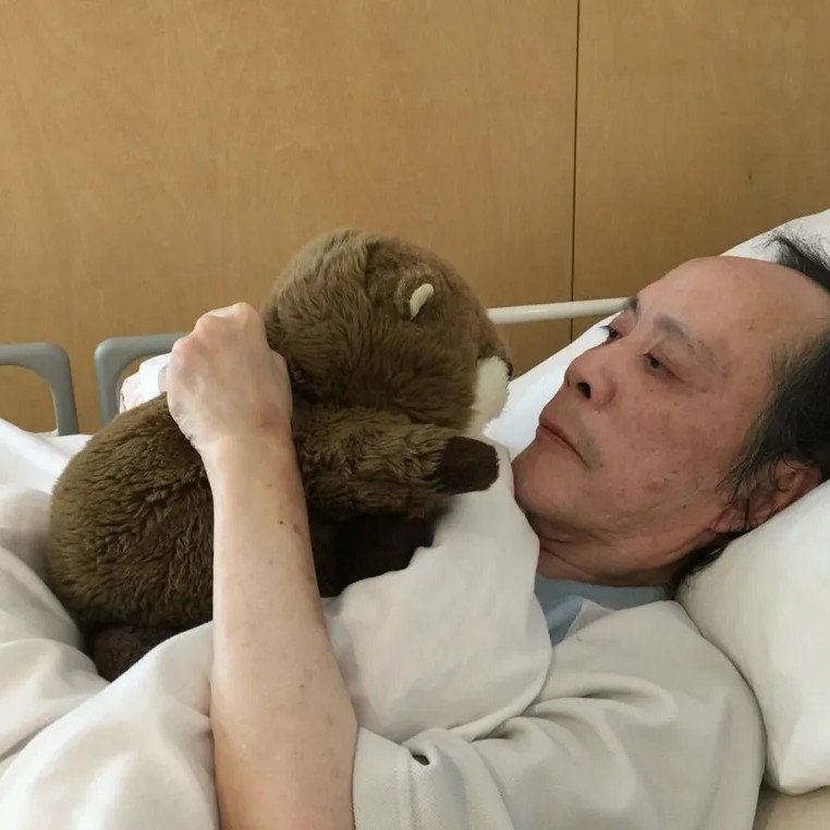 사가와 잇세이 프로필 썸네일
