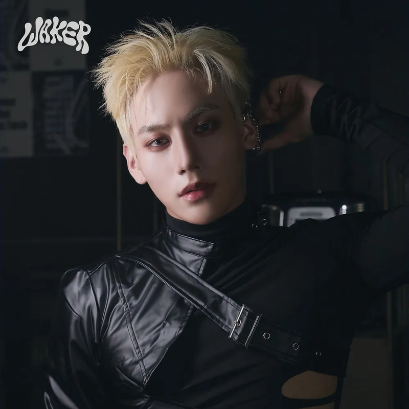 세범 사주 분석 2026