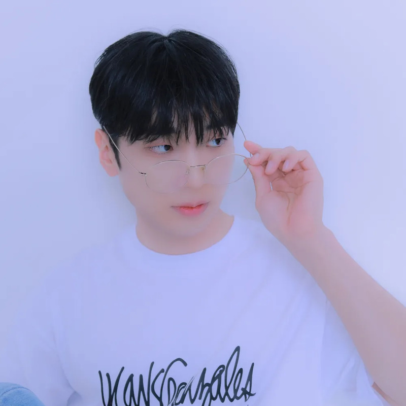 선호 사주 분석 2026