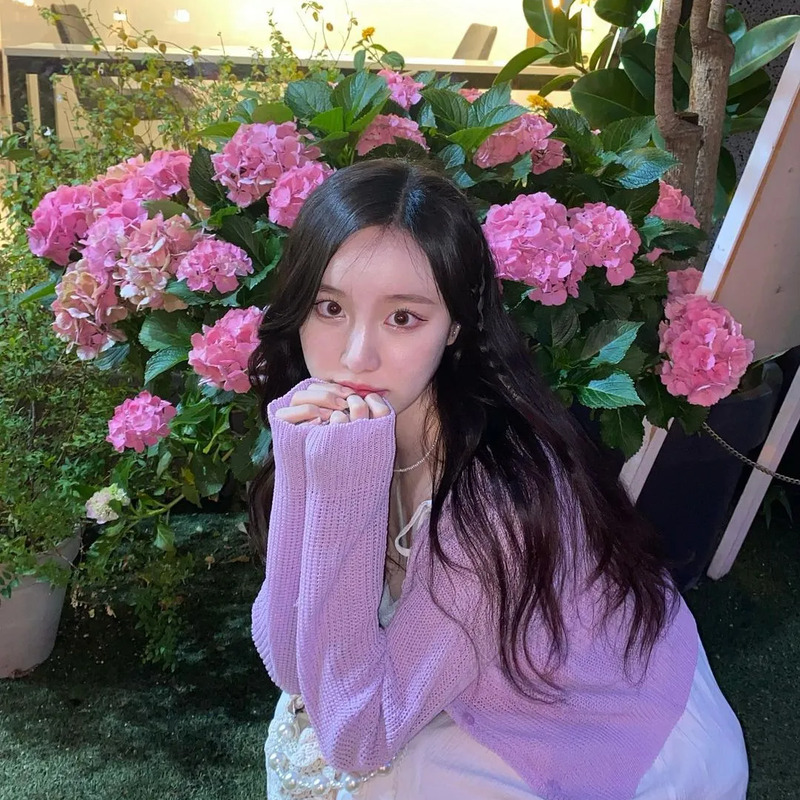 소나 사주 분석 2026