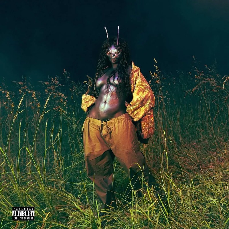 SZA 프로필 썸네일
