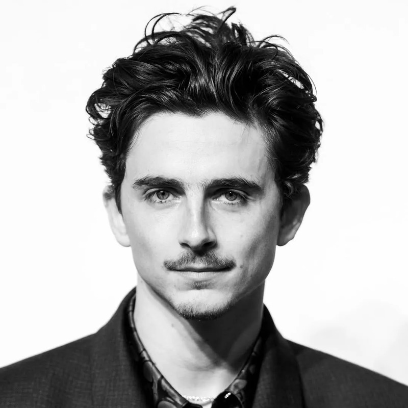 티모시 샬라메 사주 분석 2026