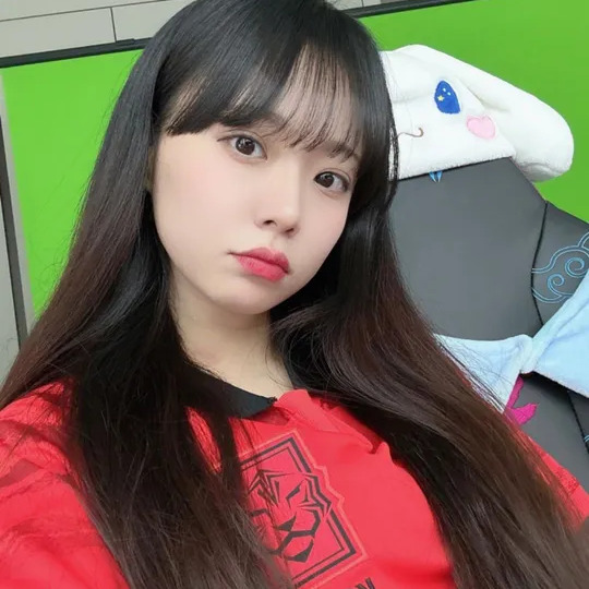 토마토 사주 분석 2026