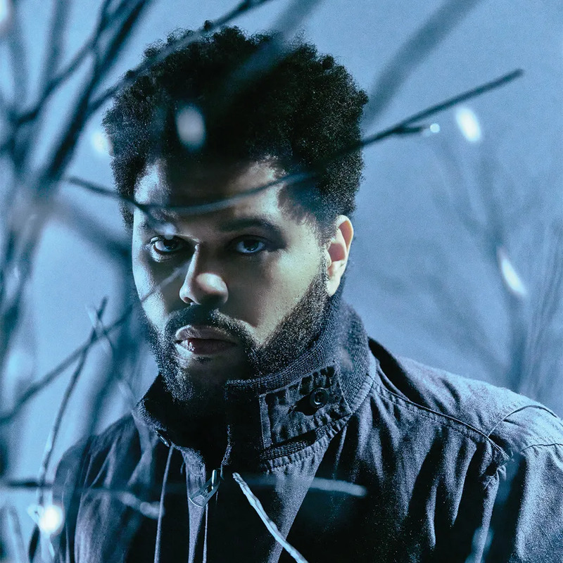 위켄드 사주 분석 2026