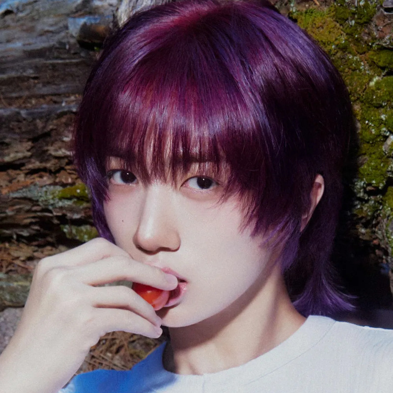 원진 사주 분석 2026