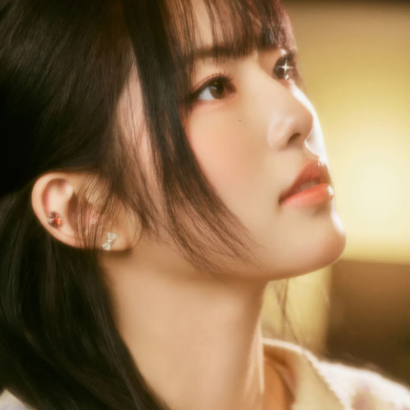 yel 사주 분석 2026