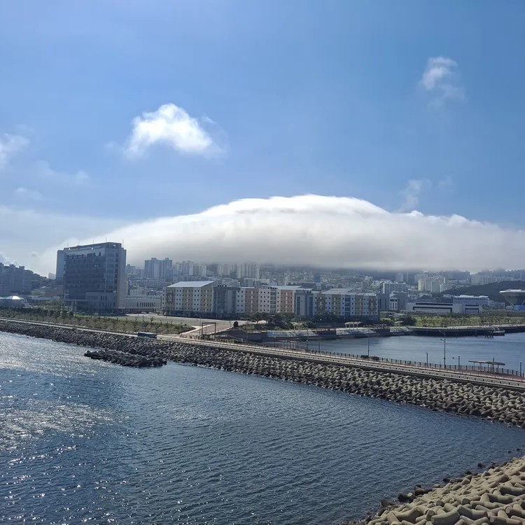 방송인 영도 프로필 썸네일
