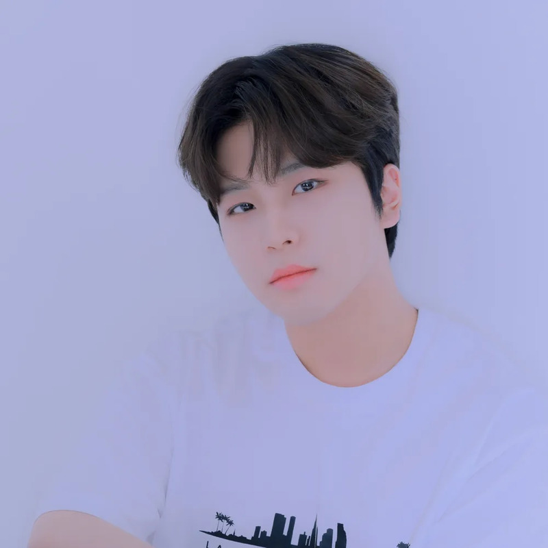 영원 사주 분석 2026