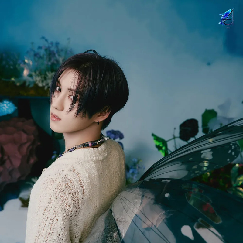 예왕 사주 분석 2026