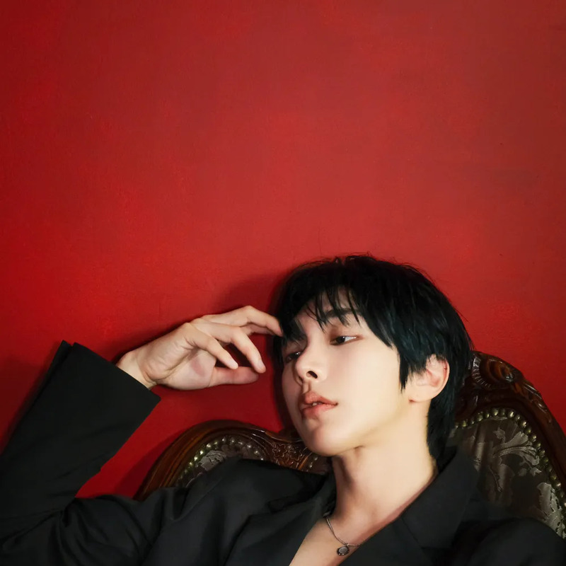 유희도 사주 분석 2026