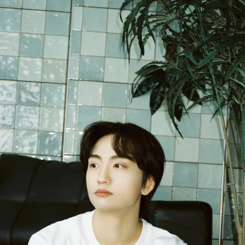 윤딴딴 사주 분석 2026