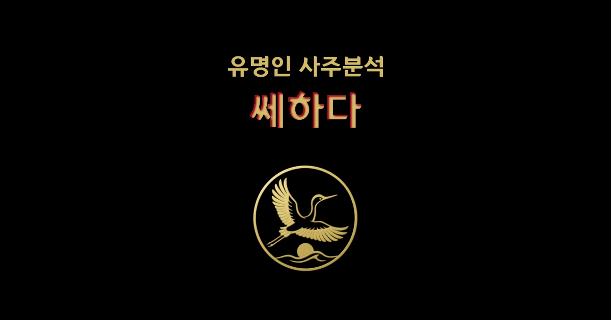 아빈 사주 분석 2026